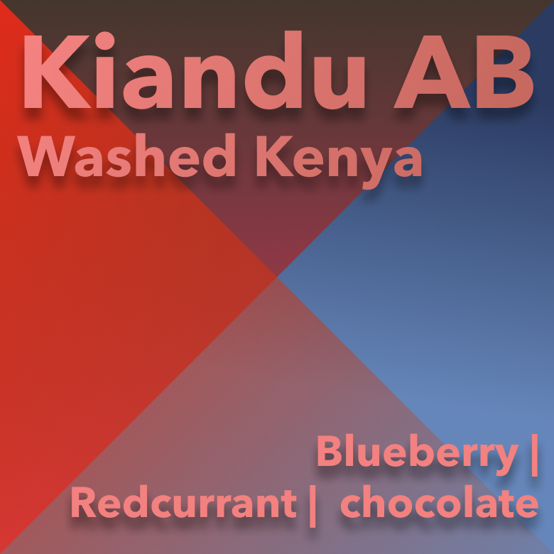 Kenya Washed Kiandu AB
