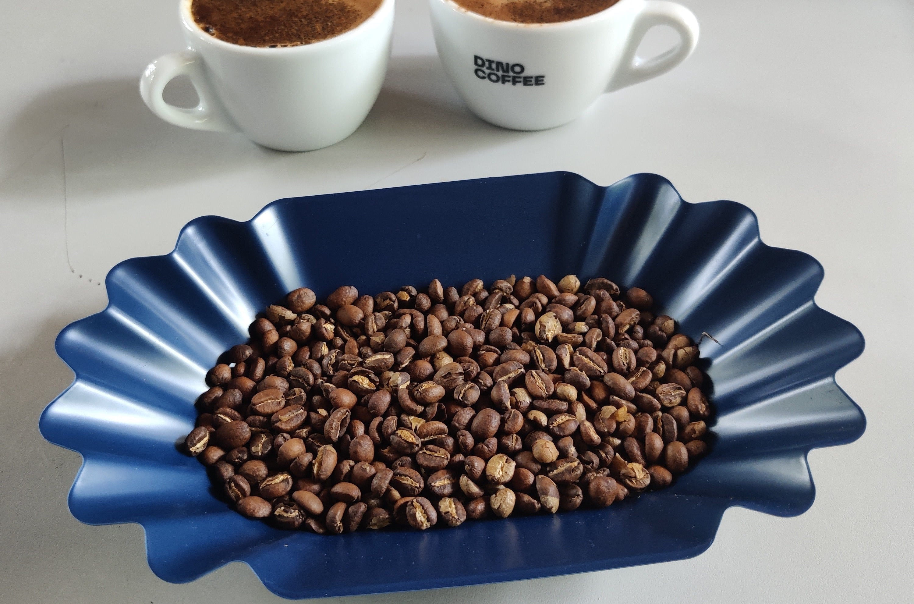 Dino Coffee Bonen