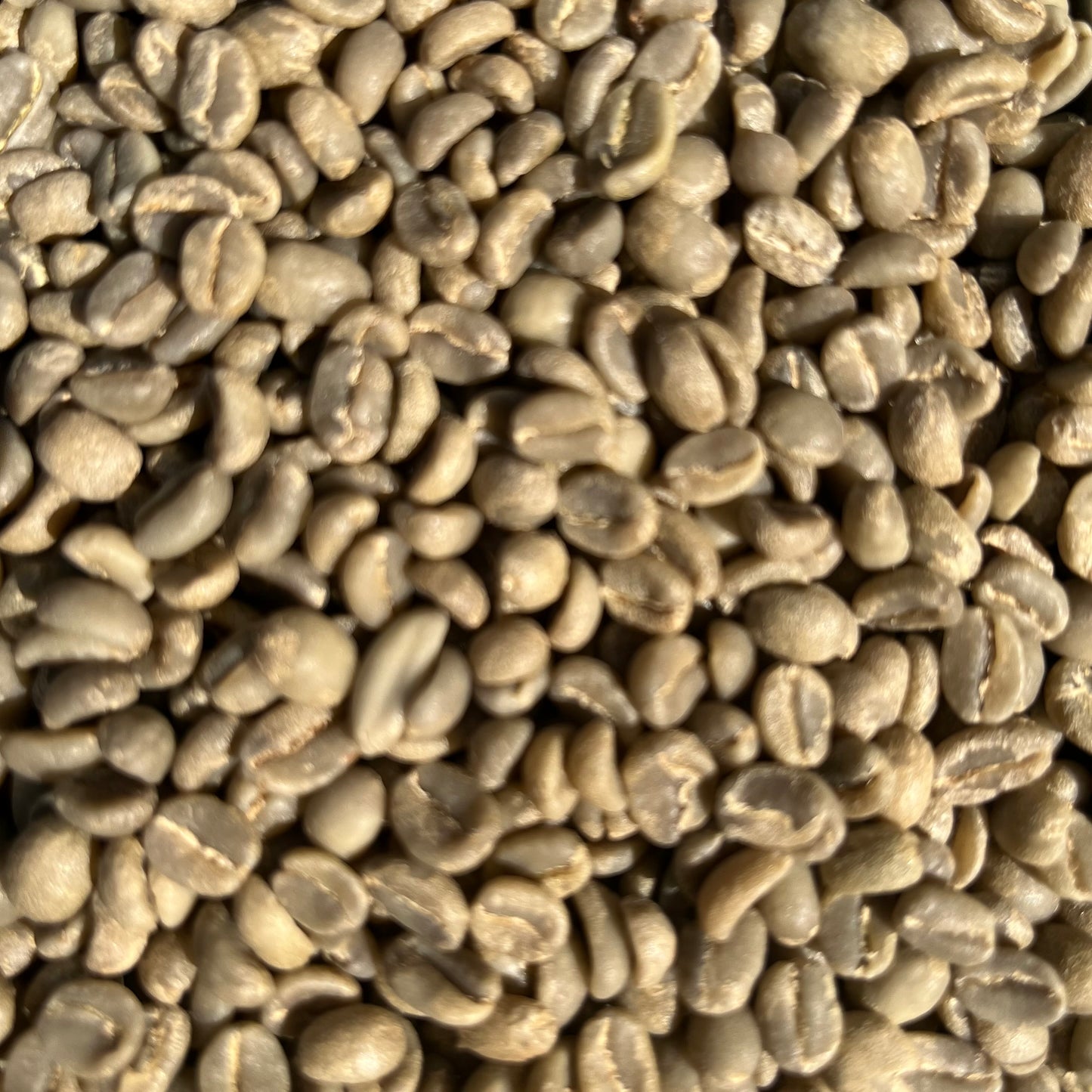 Ongebrande (groene) Koffie per KG