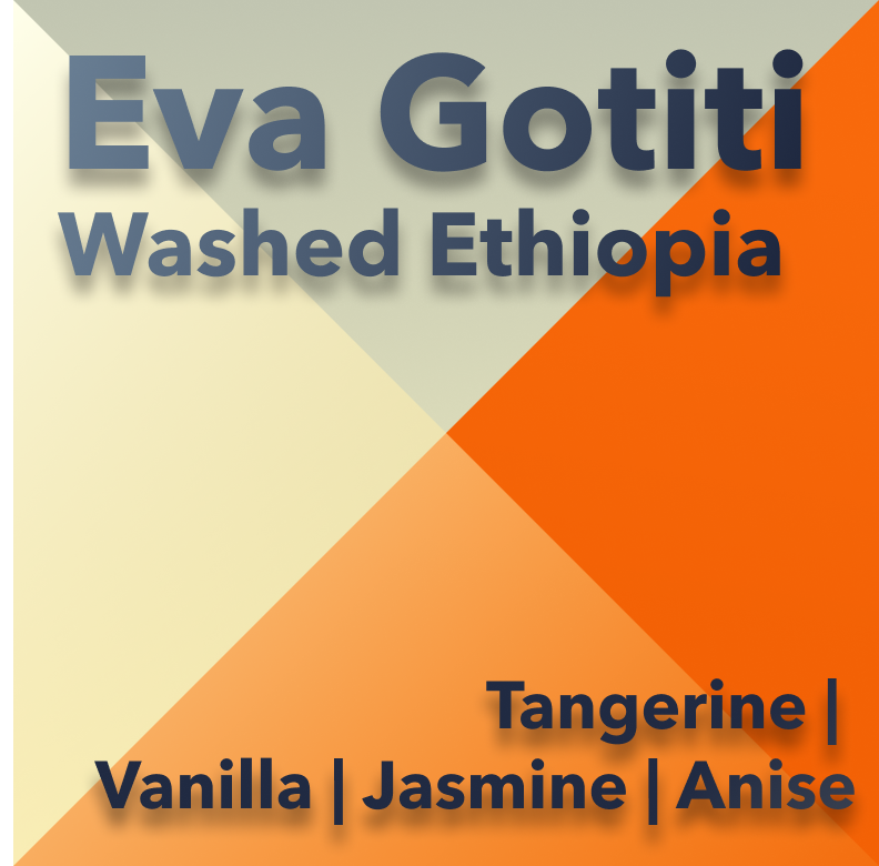 Eva Gotiti