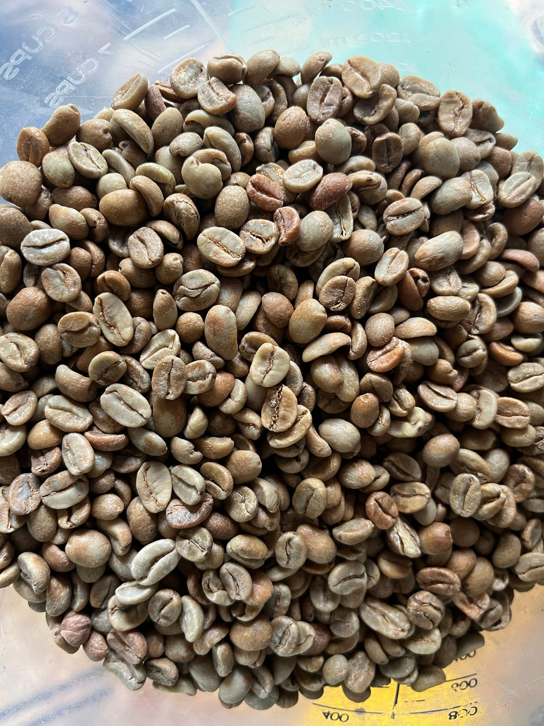 Brand je eigen koffie