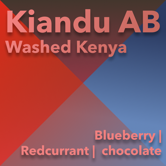 Kenya Washed Kiandu AB