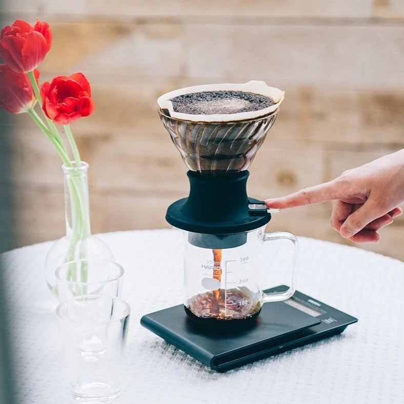 Hario V60 Immersion Dripper Switch Server Set with Server, size 02