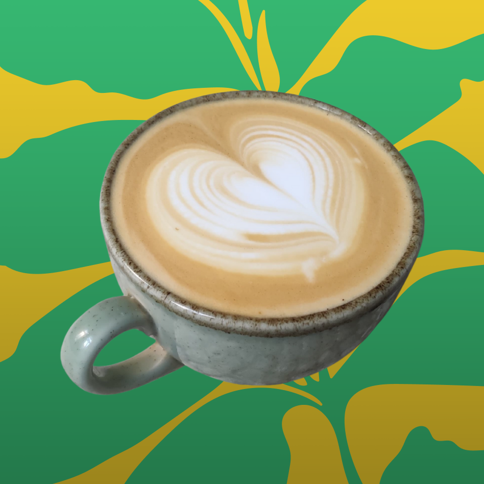 Taller de barista de Dino Coffee