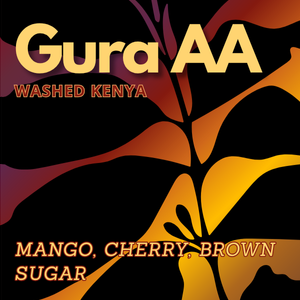 Kenya Washed Gura AA Coffee 125 gr