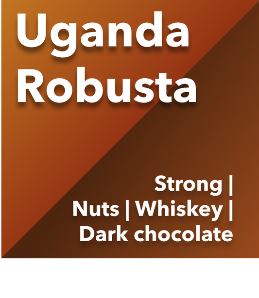 Uganda Robusta