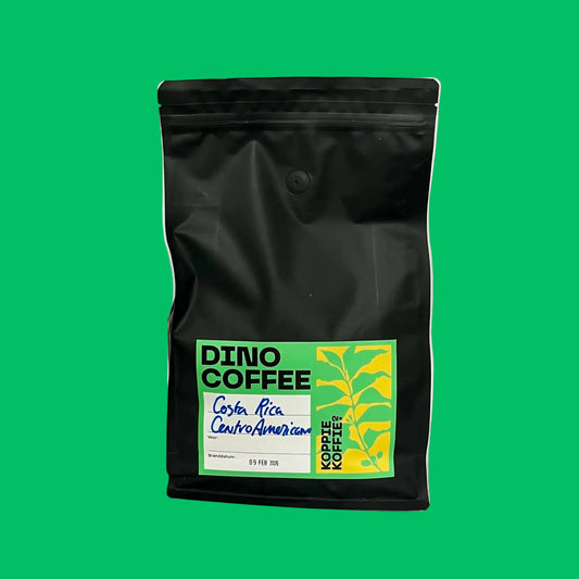 Centroamericano Natural Costa Rica