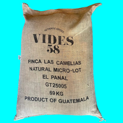 Guatemala Microlot Camelias el Panal
