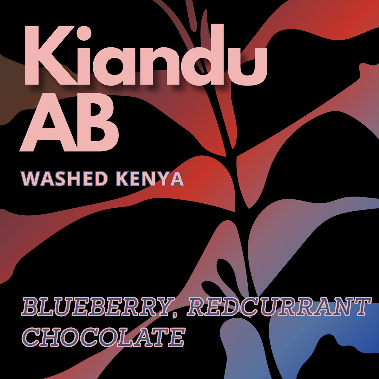 Kenya Washed Kiandu AB