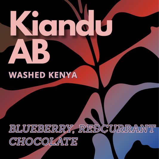 Kenya Washed Kiandu AB